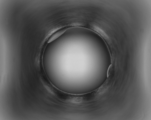 X0000087330155200704201134