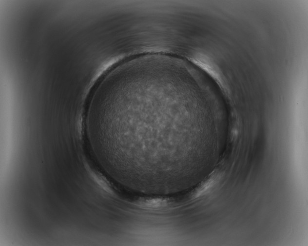 X0000087330156200704201134