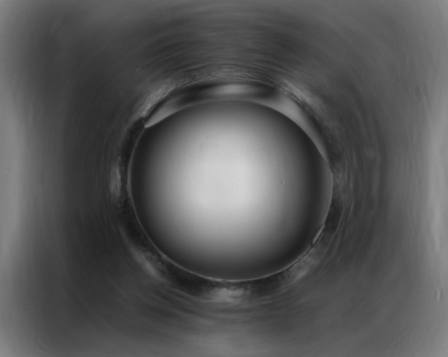 X0000087330158200704201134