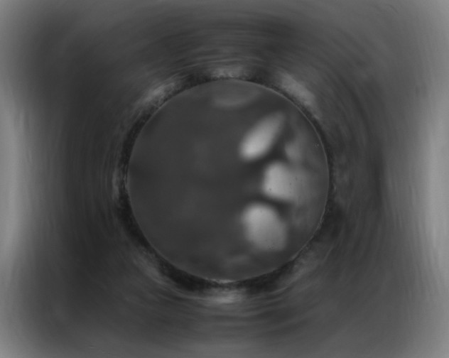 X0000087330161200704201134