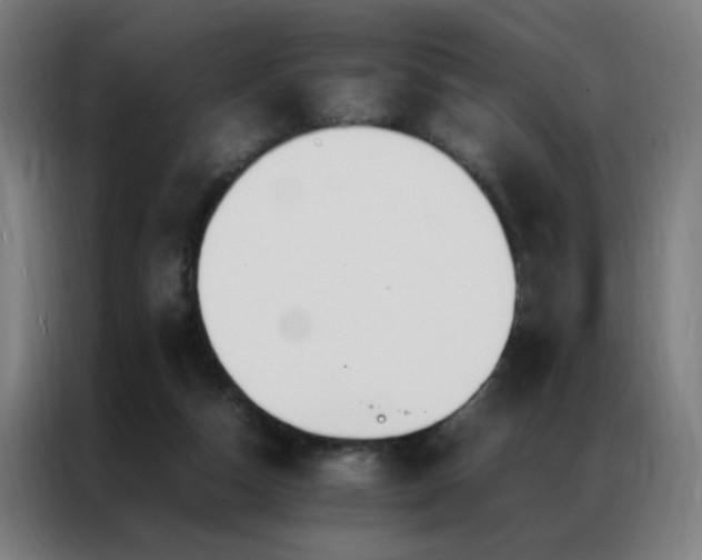X0000087330162200704201134