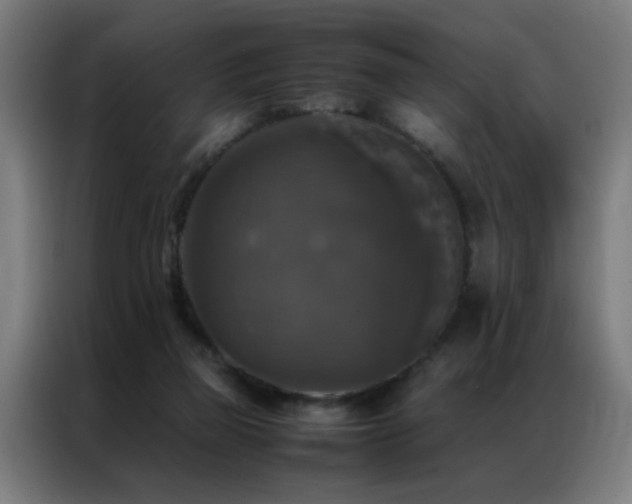 X0000087330165200704201134