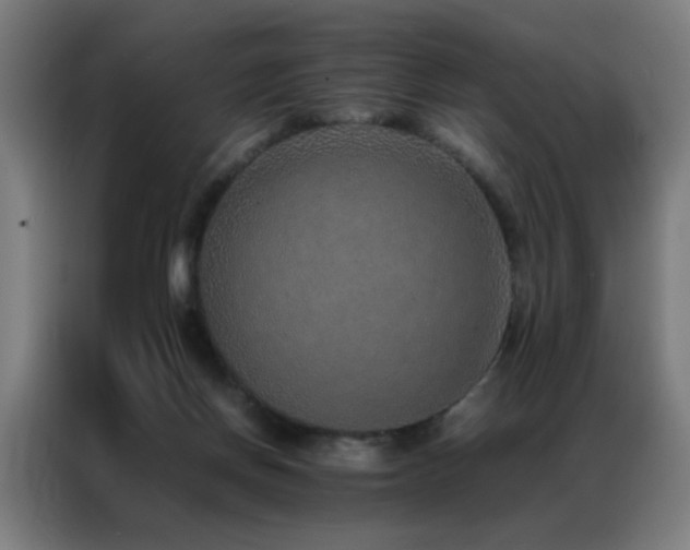 X0000087330166200704201134