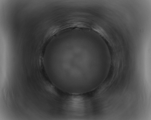 X0000087330169200704201134
