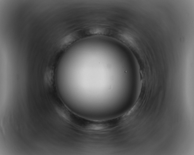 X0000087330171200704201134