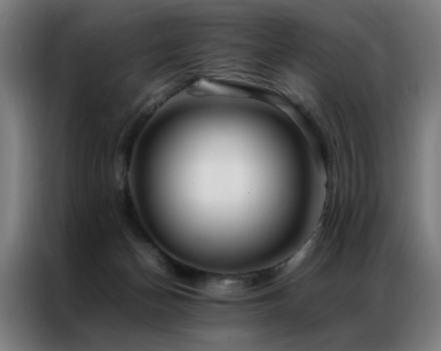 X0000087330174200704201134