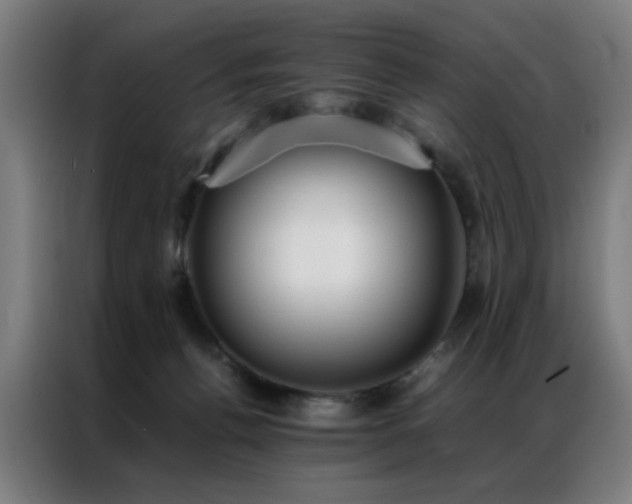 X0000087330176200704201134