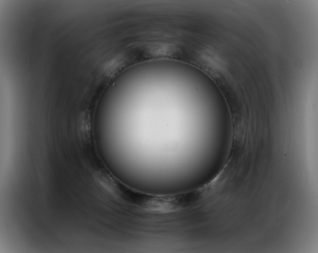 X0000087330179200704201134
