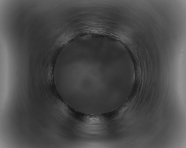 X0000087330181200704201134
