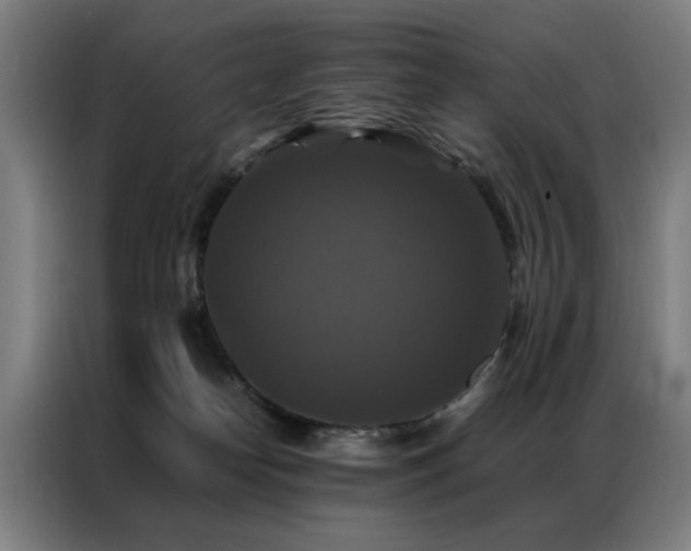 X0000087330182200704201134