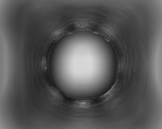 X0000087330187200704201134