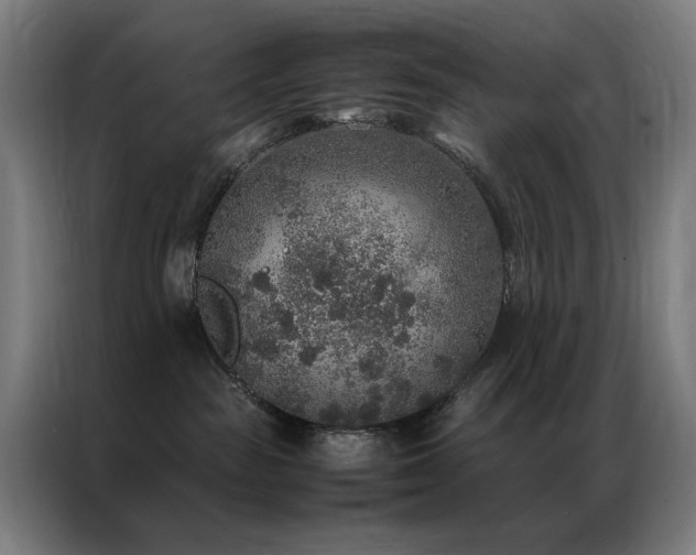 X0000087330189200704201134