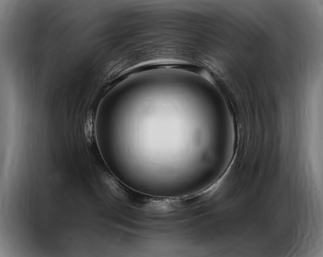 X0000087330190200704201134