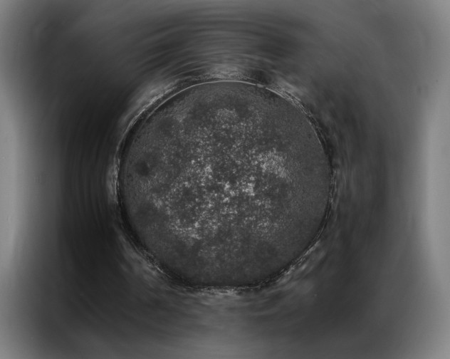 X0000087330194200704201134