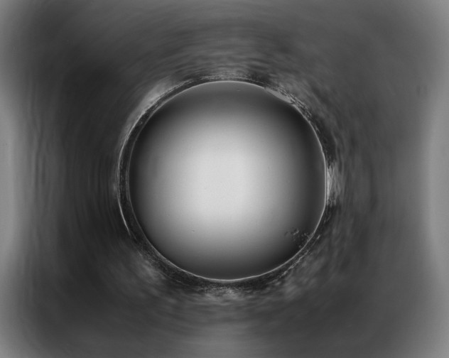 X0000087330195200704201134