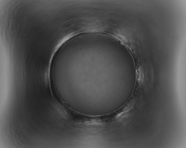 X0000087330196200704201134
