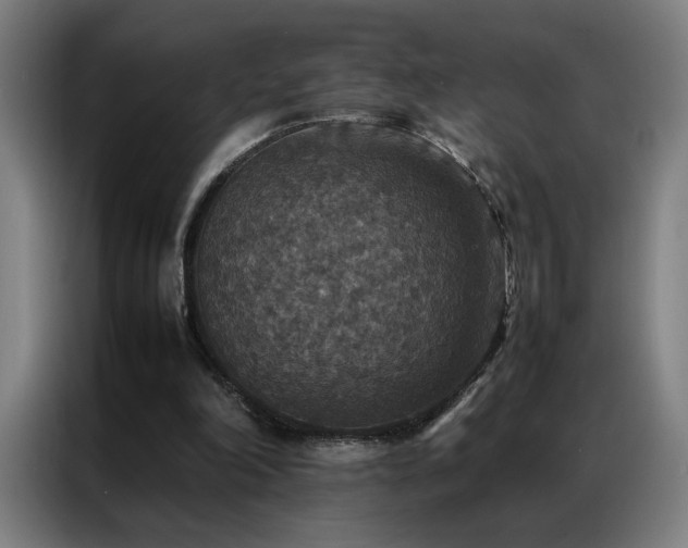 X0000087330198200704201134