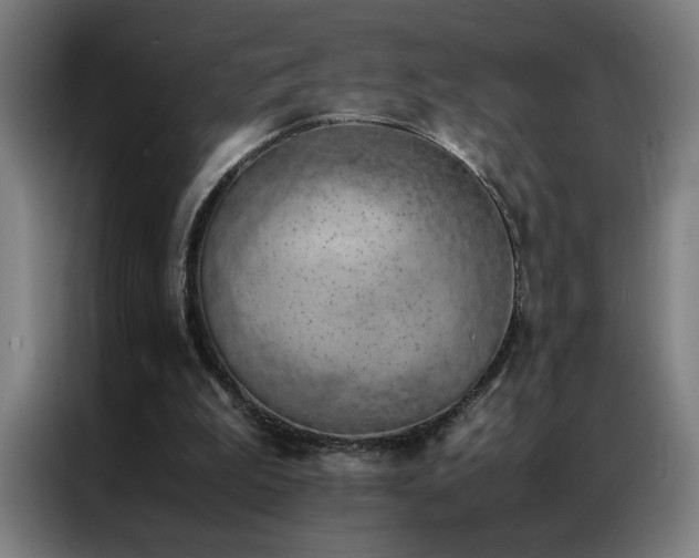 X0000087330199200704201134