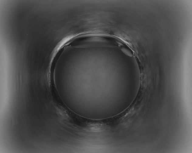 X0000087330200200704201134