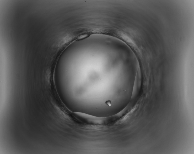 X0000087330201200704201134