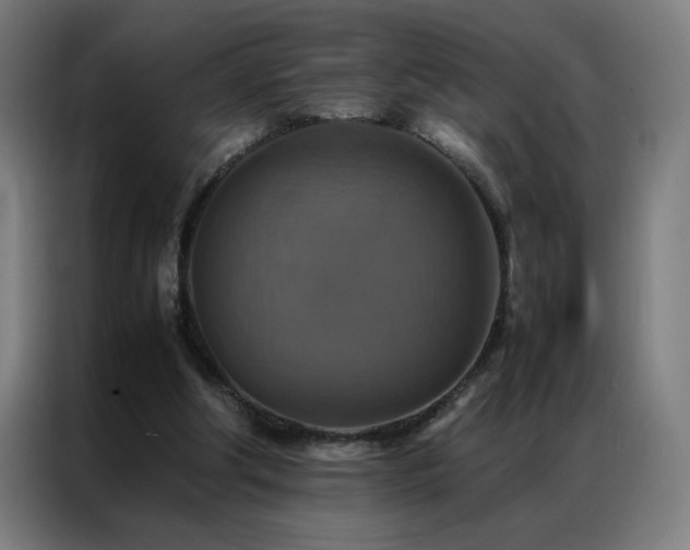 X0000087330202200704201134