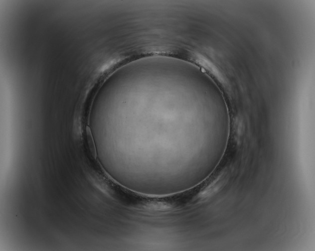 X0000087330203200704201134