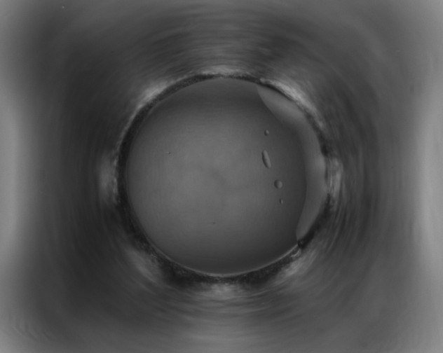 X0000087330204200704201134