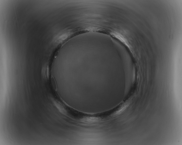 X0000087330205200704201134
