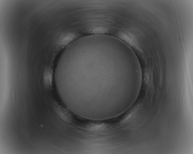 X0000087330206200704201134