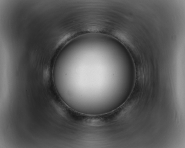 X0000087330208200704201134