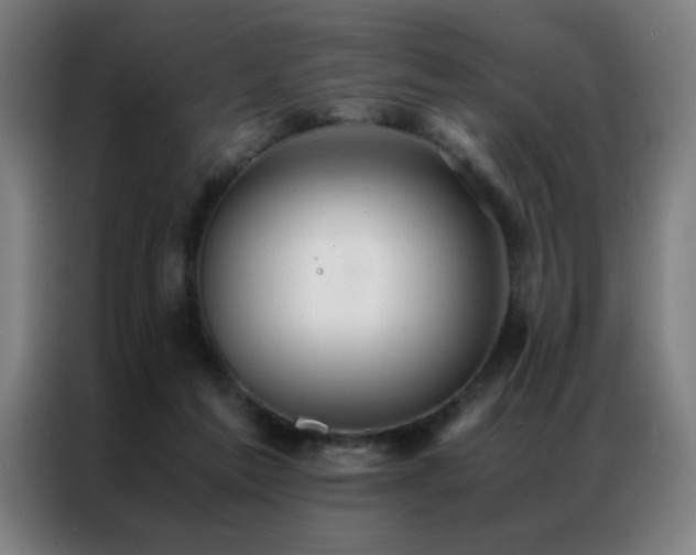 X0000087330213200704201133