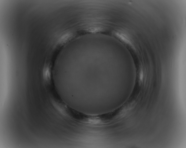 X0000087330214200704201133