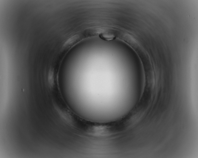 X0000087330216200704201133