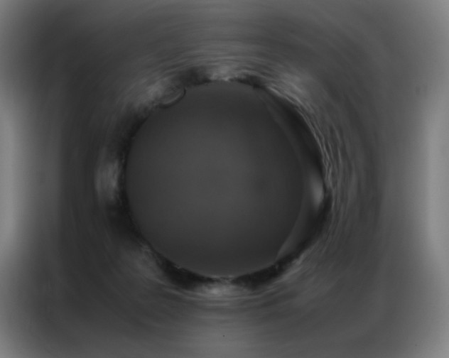 X0000087330219200704201133