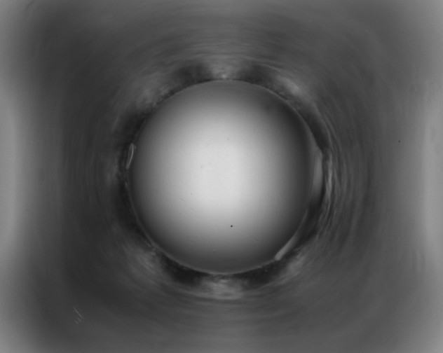 X0000087330221200704201133
