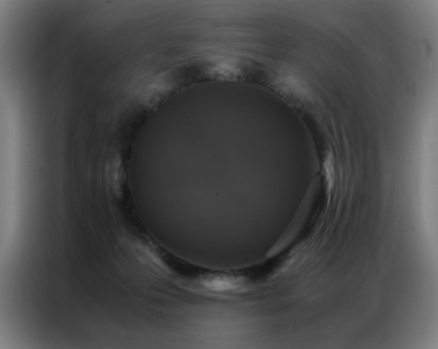 X0000087330223200704201133