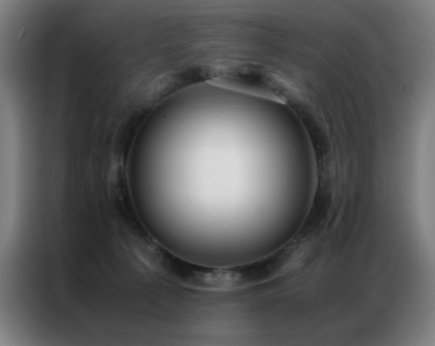 X0000087330225200704201133