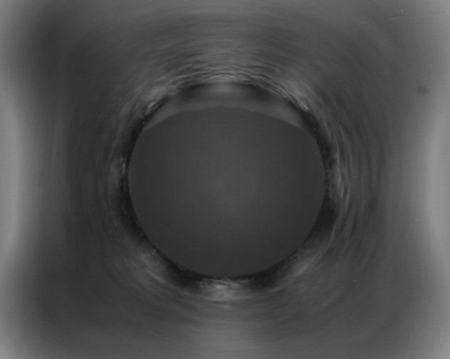 X0000087330229200704201133