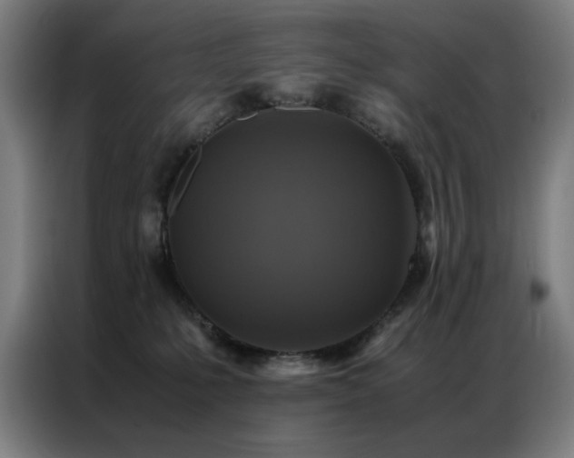 X0000087330231200704201133