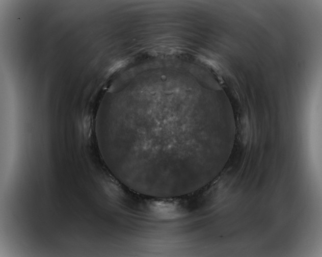 X0000087330232200704201133
