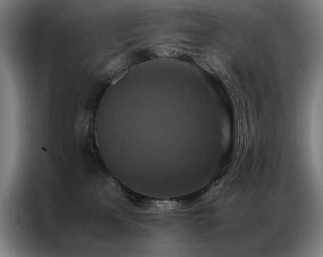 X0000087330233200704201133