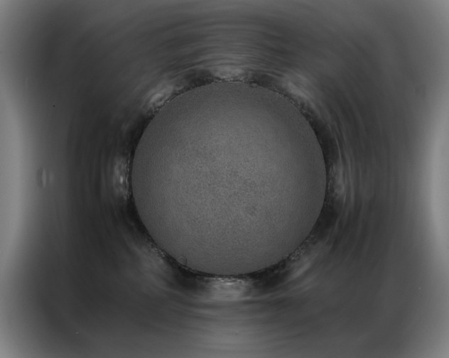 X0000087330234200704201133