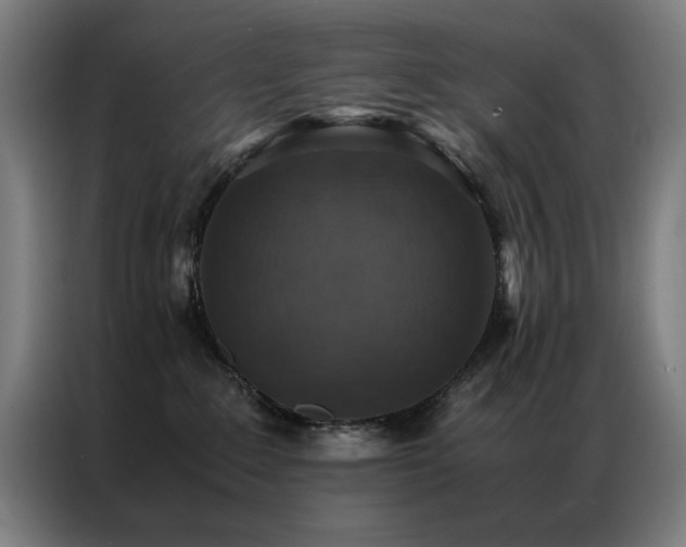 X0000087330235200704201133