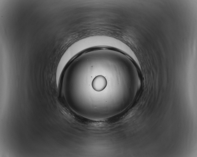 X0000087330237200704201133