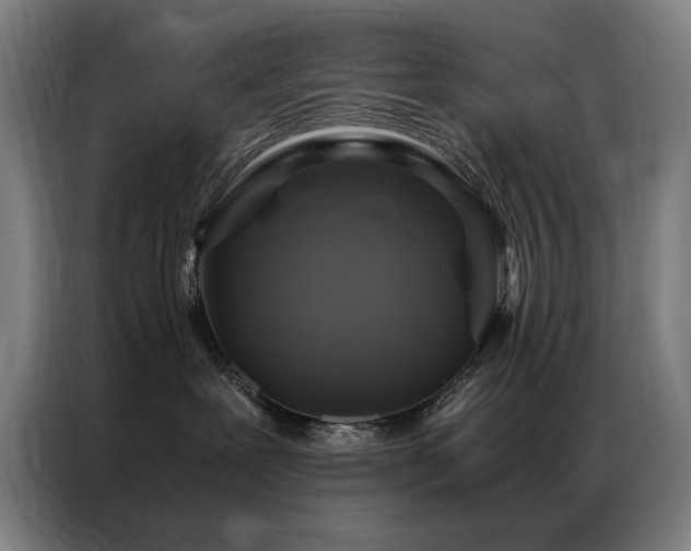 X0000087330239200704201133
