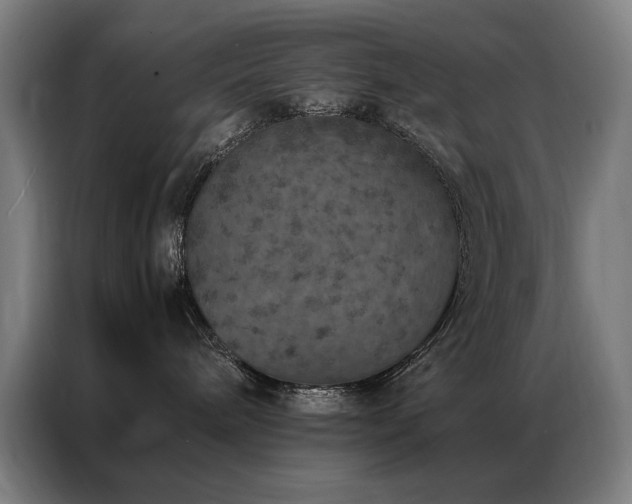 X0000087330240200704201133
