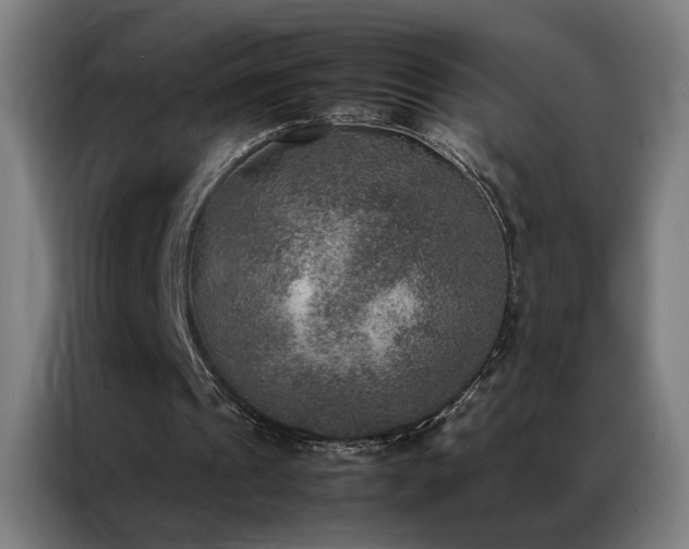 X0000087330241200704201133