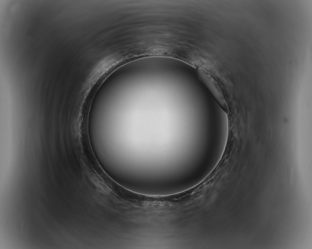 X0000087330242200704201133