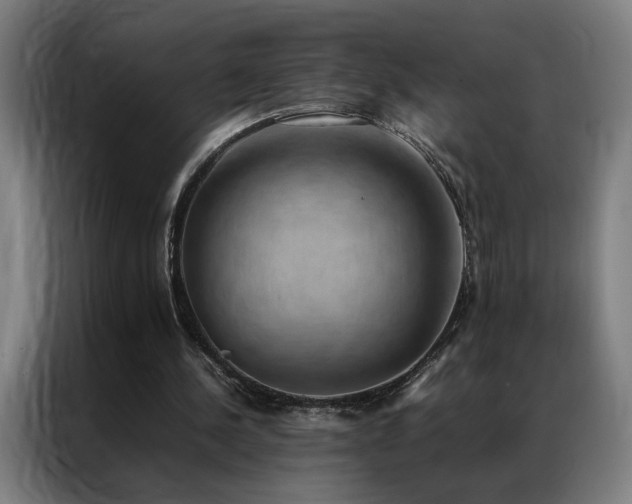 X0000087330244200704201133