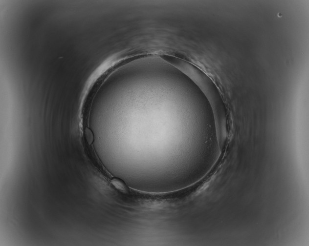 X0000087330246200704201133
